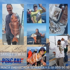 EMBARCAÇÃO PESCAKI - Pesca aos SARGOS e SÊMEAS em Sesimbra - T. 91 959 96 10